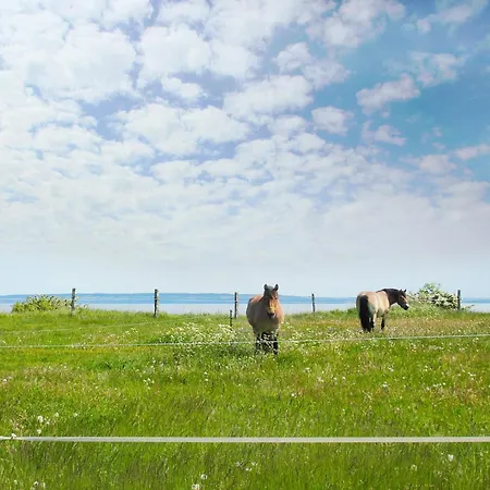 Ferienwohnungen Am Hochzeitsberg Nummer 01 Lejlighed Breege